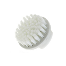Brush