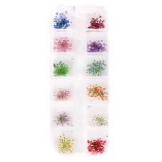 Dried flowers for nails
